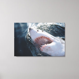 Toile Grand requin blanc en mer