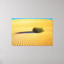 GRANDES DUNES OCÉAN 40x60