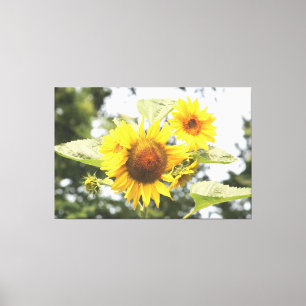 Toile Grands tournesols
