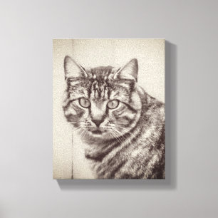 Toile Grange Chat Animaux de ferme 8 x 10