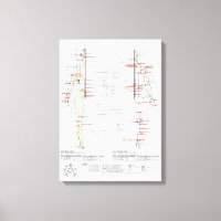 Graphique des méridiens humains