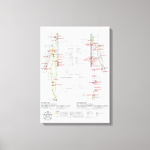 Toile Graphique des méridiens humains