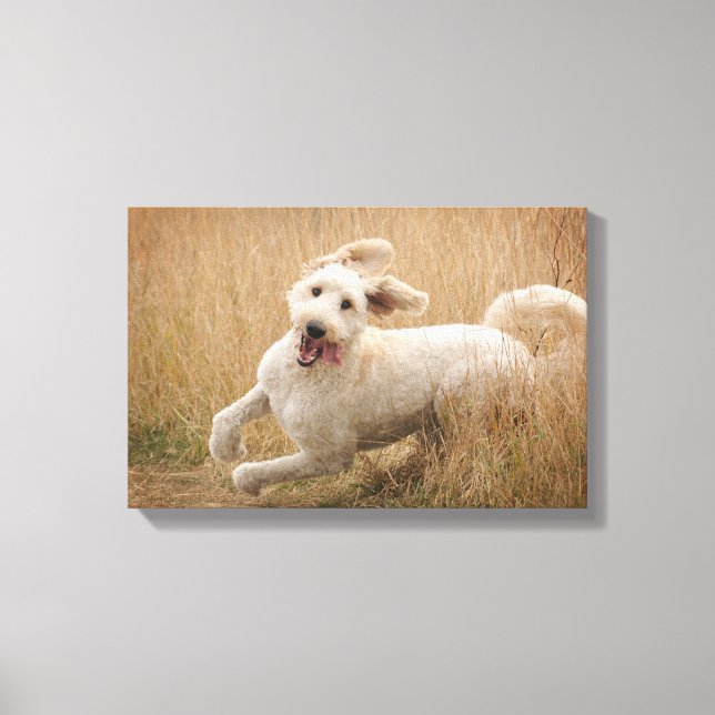 Toile Grass de Runs (Recto)