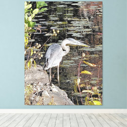 Toile Great Blue Heron Stretched Canvas Print