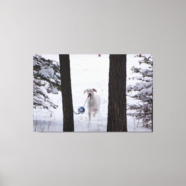 Toile Great Dane avec un ballon cette saison des Fêtes (Recto)