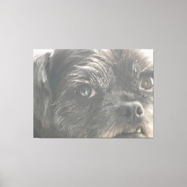 Toile Greedo Watches (Recto)