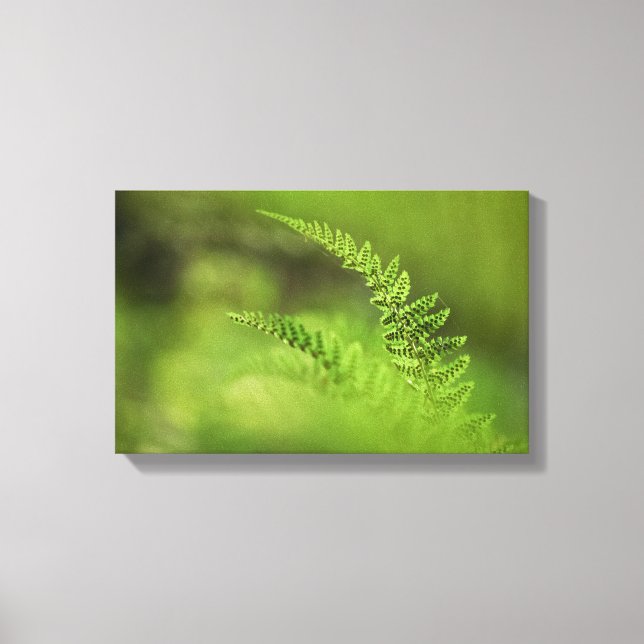 Toile Green Fern Frond Nature Photo (Recto)