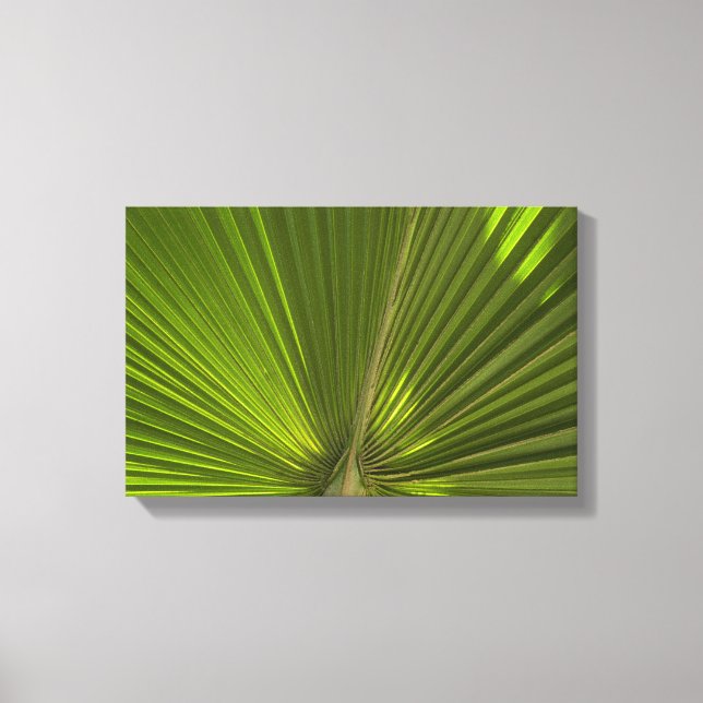 Toile Green Tropical Palm Frond (Recto)