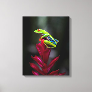 Toile Grenouille aux yeux rouges