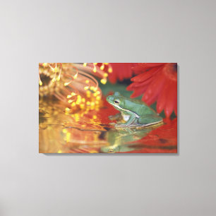 Toile Grenouille et reflets parmi les fleurs. Crédit :