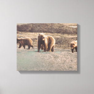 Toile Grizzlies de la toundra de l'Alaska Photo Conçu
