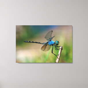 Toile Gros plan d'une libellule bleue sur une branche