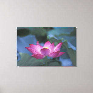 Toile Gros plan sur une fleur de lotus rouge et des feui