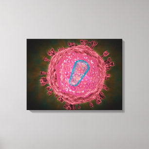 Toile Groupe du virus 2 d'HIV