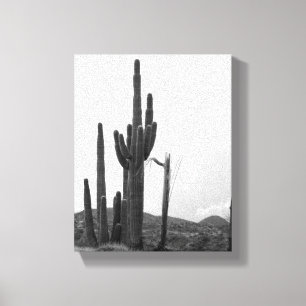 Toile Groupe noir et blanc de Cactus Saguaro sur la coll
