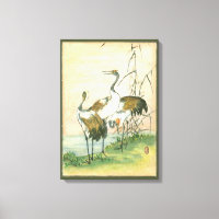 Grues orientales au bord de l'eau