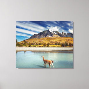 Toile Guanaco traversant la rivière à Torres del Paine