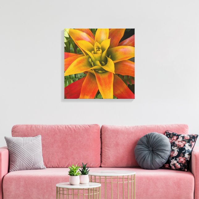 Toile Guzmania Bromeliad Plant Floral (Insitu(Salon))