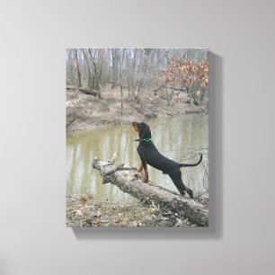 Toile Hache de cocon majestueuse à la rivière Canvas