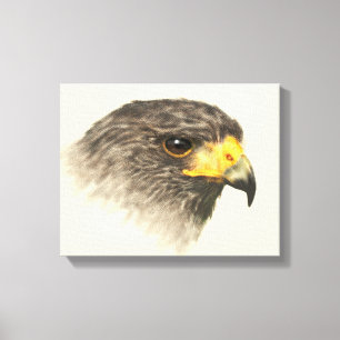 Toile Harris Hawk - Mélange Moyen