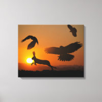 Harris Hawks