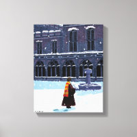 HARRY POTTER™ et Hedwig dans la cour de HOGWARTS™