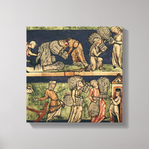 Toile Harvard, École du Rhin