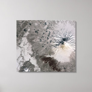 Toile Hausses d'une plume de riches de cendre