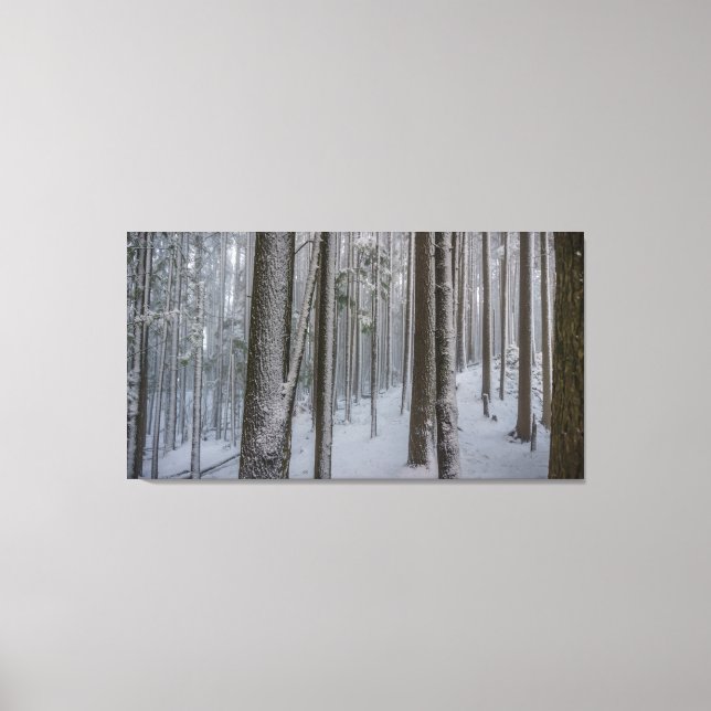 Toile Haut debout #2 (Recto)