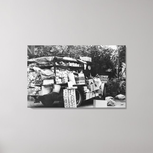 Toile Hawaii - Vue d'un Wagon végétal autochtone (Recto)