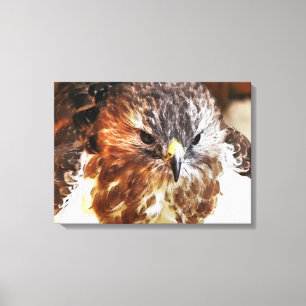 TOILE HAWK