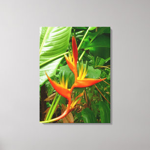 Toile Heliconia hawaïen