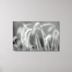 Toile Herbes Sauvages - Noir Et Blanc