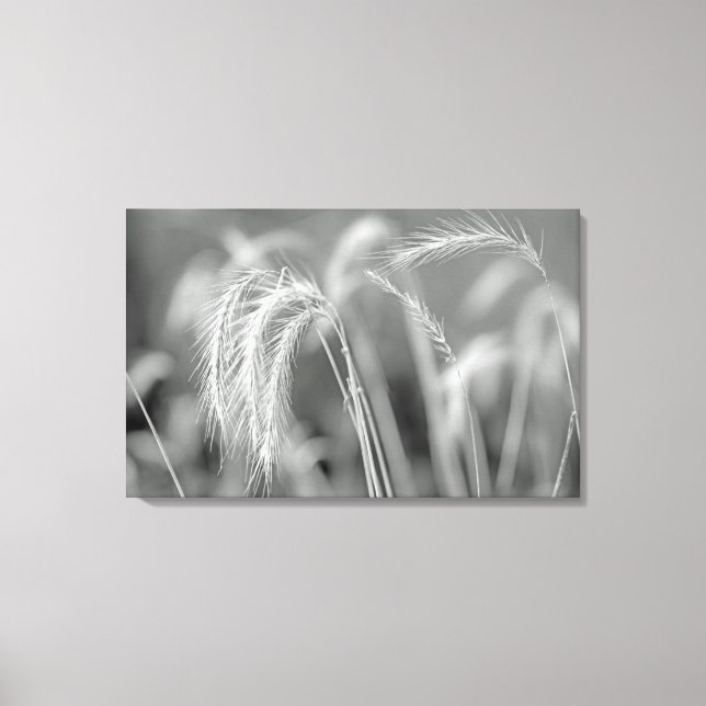 Toile Herbes Sauvages - Noir Et Blanc (Recto)