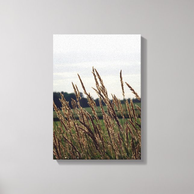 Toile Herbes soufflant dans le vent (Recto)