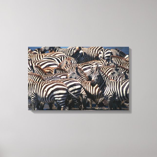 Toile Herd de zèbres 2 (Recto)