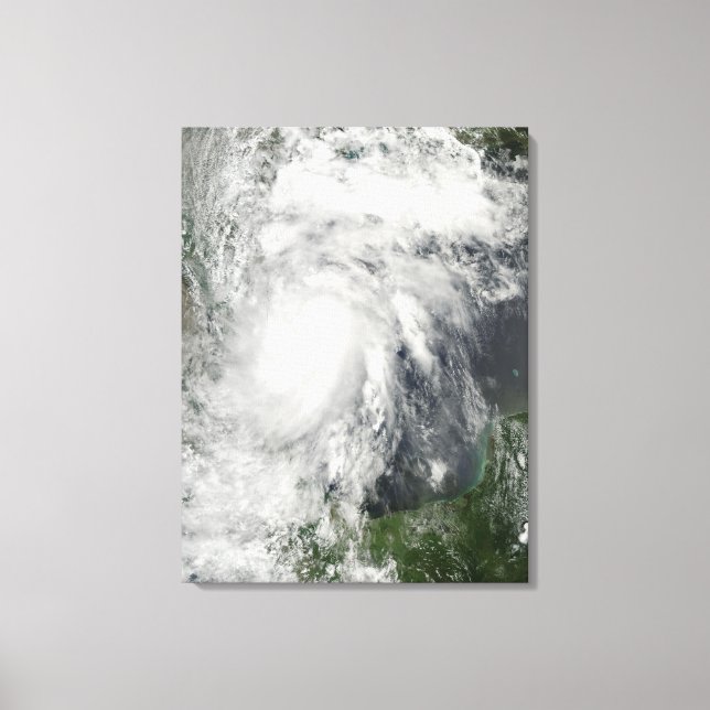 Toile Hermine de tempête tropicale dans le golfe du Mexi (Recto)