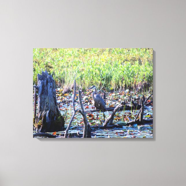 Toile Heron 6467 (Recto)