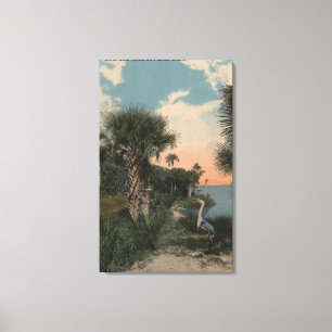 Toile Héron de grand bleu sur la plage de côte de la