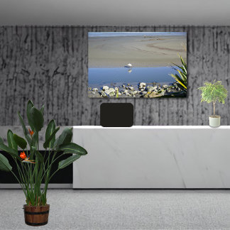 Toile Heure d'alimentation pour la spatule royale