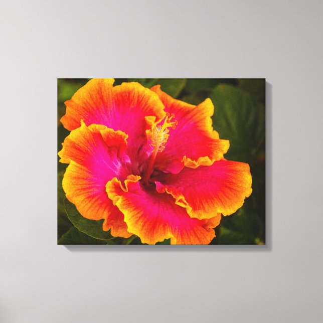 Toile Hibiscus de Fuchsia hawaïenne, photo Kauai (Recto)