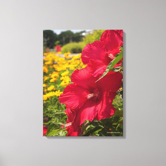 Toile Hibiscus rouge (Recto)