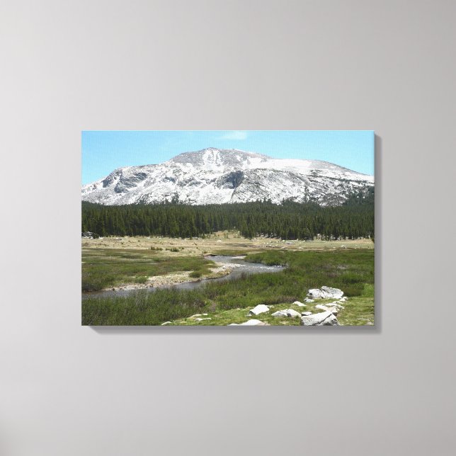 Toile High Country Mountain Stream I (Recto)