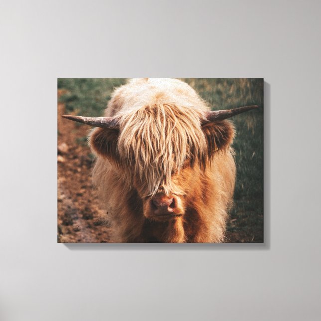Toile Highland Cow Écosse (Recto)