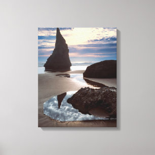 Toile Hirondelle en forme d'épines   Face Rock Wayside, 