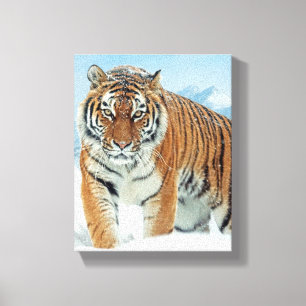 Toile Hiver Neige Tiger Montagnes Nature Photo Canvas