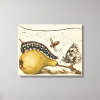 Hoefnagel Vintage Poire & Insectes 1500 Renaissanc
