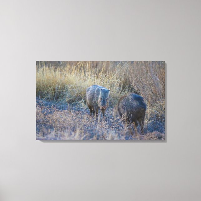Toile Hog Wild (Recto)