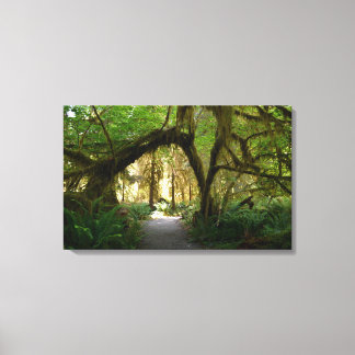 Toile Hoh Rainforest Olympic Penninsula Washington