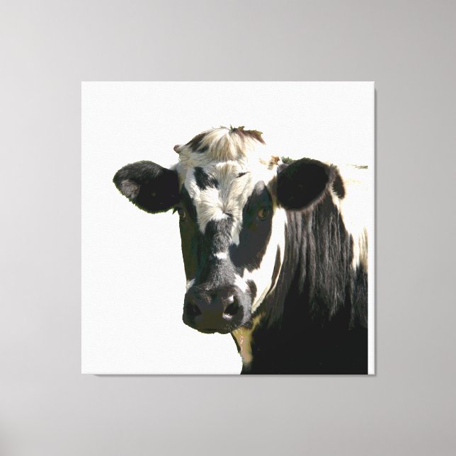 Toile Holstein Vache ferme animal laitier noir et blanc (Recto)
